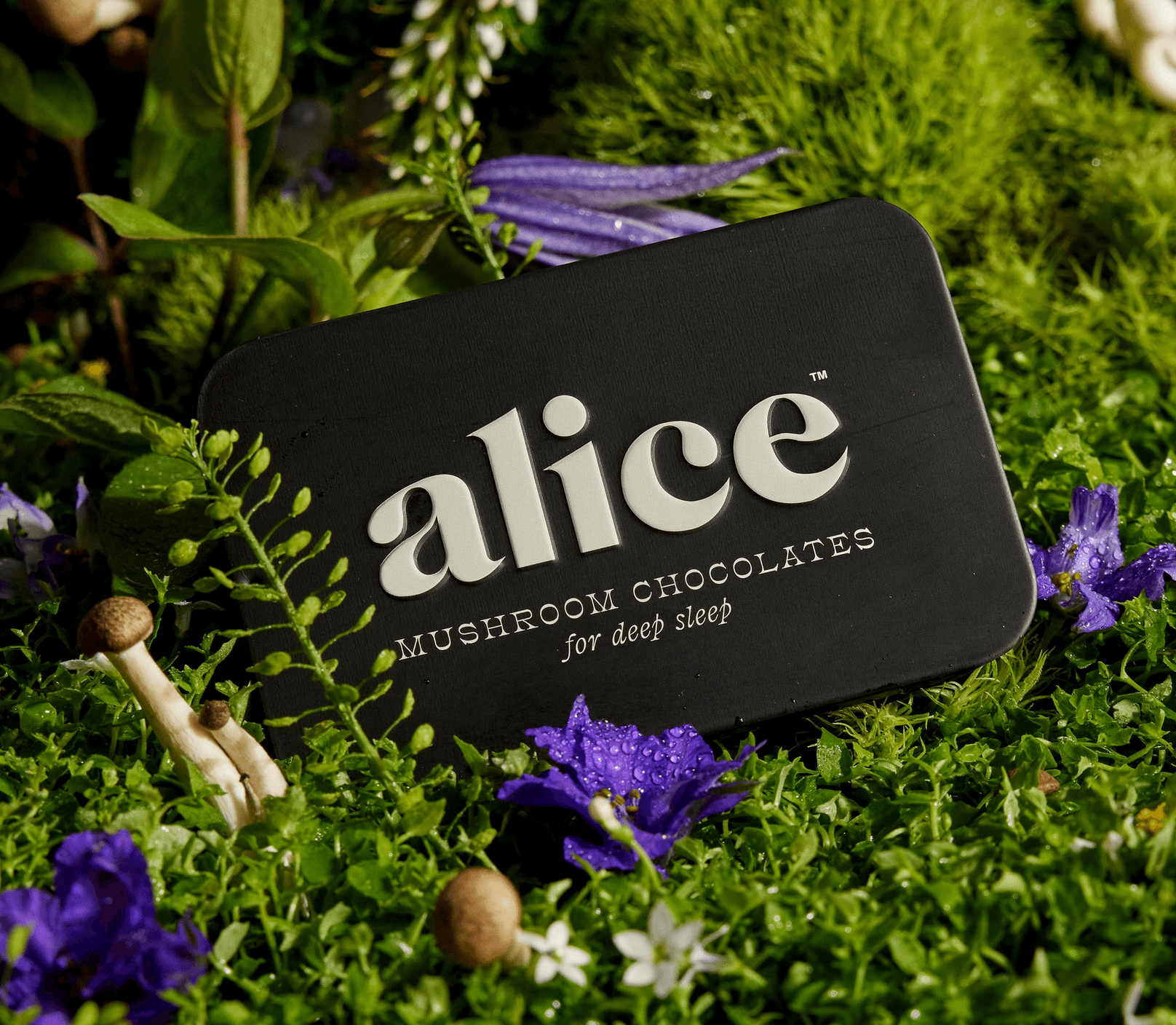 Alice Mushrooms